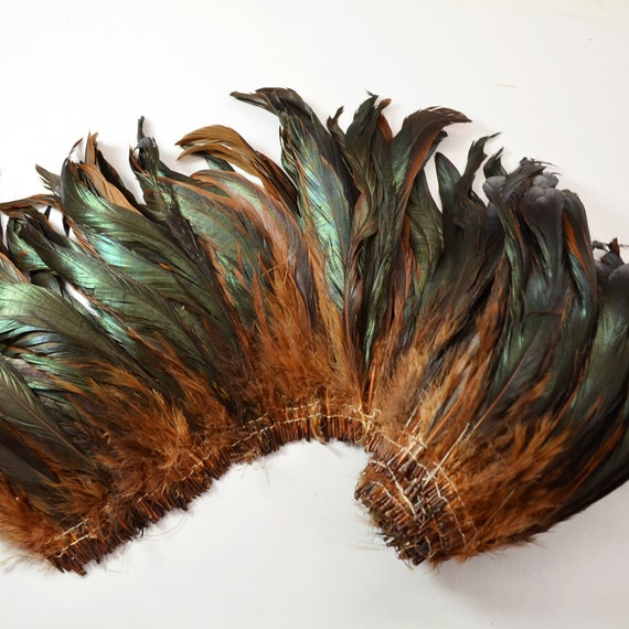 25-30pcs Rooster Tail Feathers-dark Brown, 6-8 Tall -  Canada
