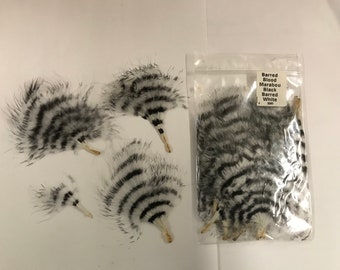 20 Barred Blood Marabou - Black Barred White