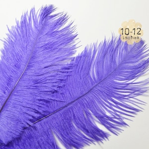 10 pz - viola - 10-12" pollici - pennacchi piuma di struzzo - tinti spicciolata piume