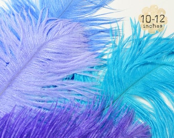 10 pcs - MARINE - 10-12" inch - Ostrich Feather Plumes - Dyed Drabs Feathers