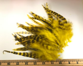 25+ Rooster yellow  Saddle feathers -pointy tip, shiny feathers, exotic feathers