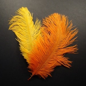 6 Plumes de mangue et dautruche orange. 7 pouces de hauteur. image 4