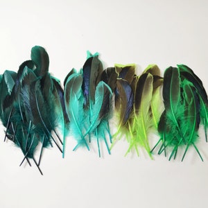 Mallard Feathers Iridescent Green Wing Teal Green Mix - Etsy