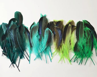 Mallard Feathers, Iridescent Green Wing - Teal Green Mix (40pcs) : MMIX001 #8 #9 #10 #11