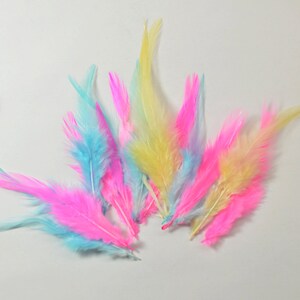 Pu&ograve; includere: Una collezione di piume colorate in tonalit&agrave; di rosa, blu e giallo. Le piume sono morbide e soffici, e sarebbero perfette per l'artigianato o la decorazione.