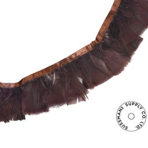 Amazon.com: 1 Pack - Natural Brown Duck Primary Wing Pointer