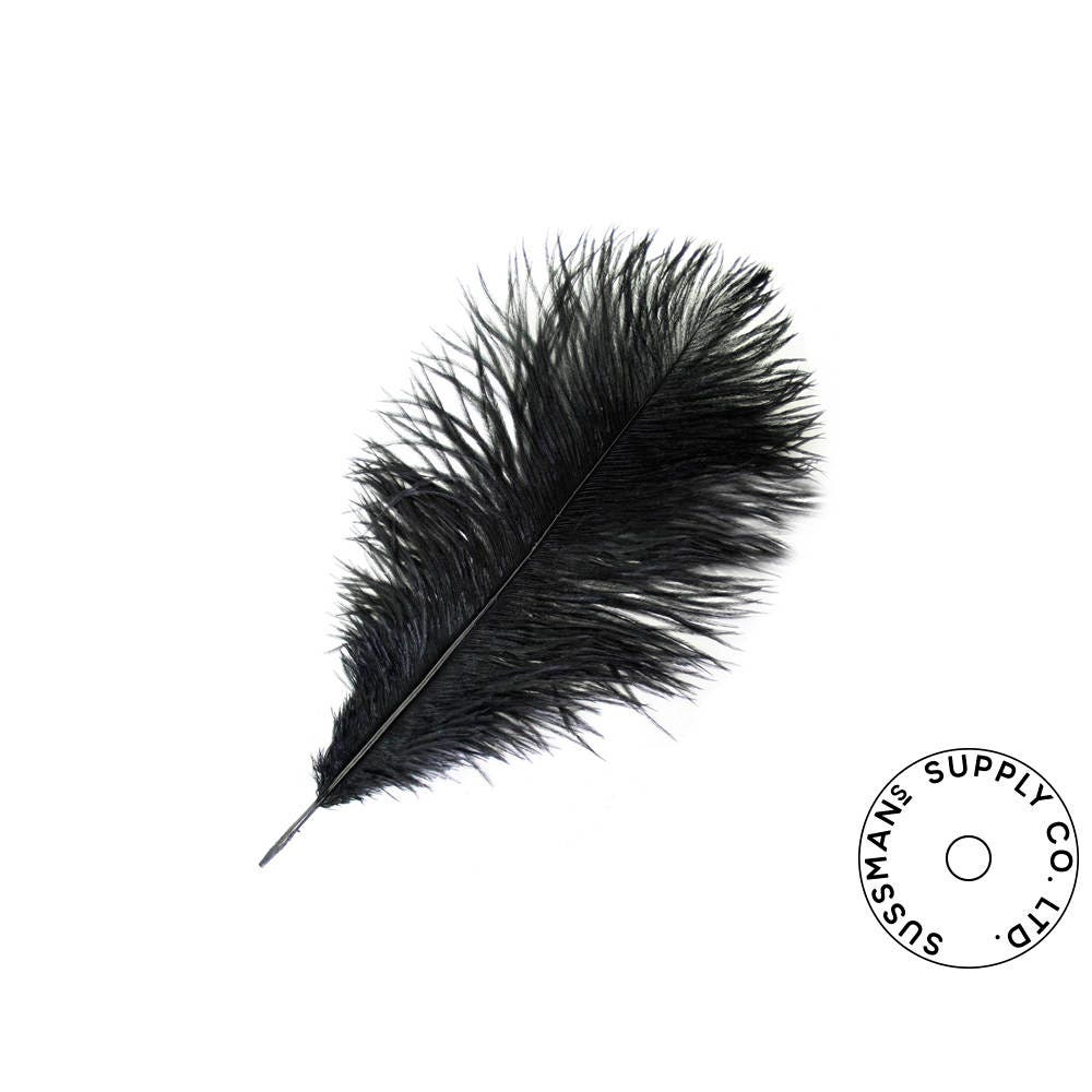10 Pieces - 12-16 Black Dyed Ostrich Tail Fancy Feathers