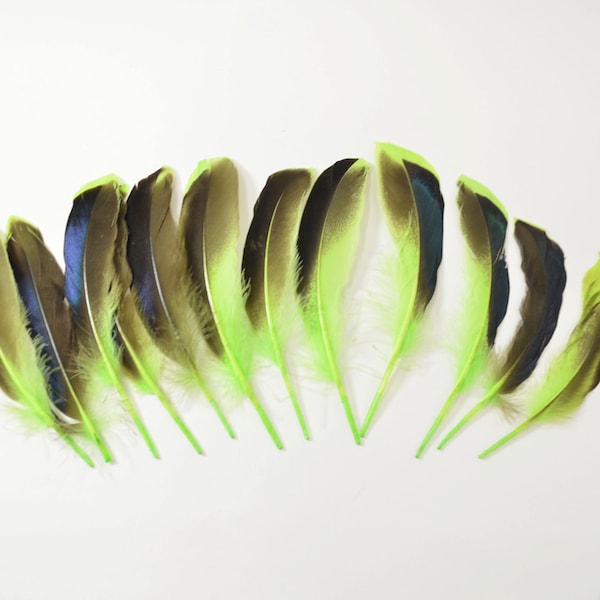 Mallard Feathers, Iridescent Green Wing - Lime (10pcs) : M11