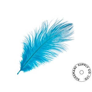 Ostrich Feathers - Wholesale Wedding Feathers Ostrich Drab Plumes - Turquoise - 10pcs (14-17&quot;)