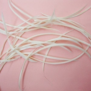 40 White loose Goose Biots Feather.