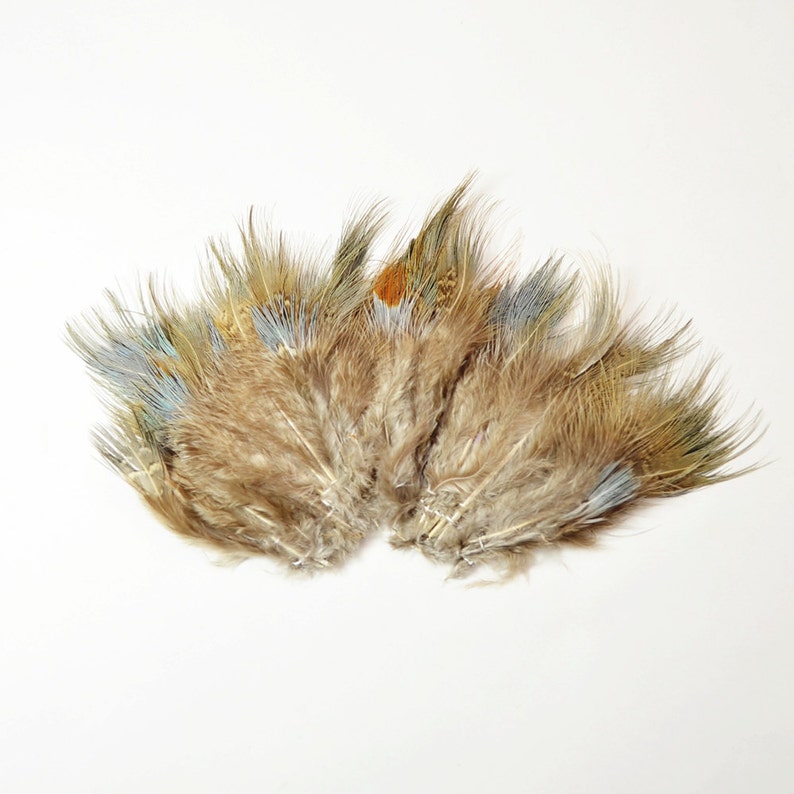 May include: A collection of brown, blue, and orange feathers with a fan-like arrangement.