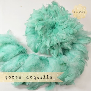 Puede incluir: Un gran manojo de plumas de ganso color turquesa, dispuestas en forma circular. Las plumas son suaves y esponjosas, y tienen un aspecto natural y rústico. El texto "goose coquille" está impreso en una pancarta debajo de las plumas. El texto "limited!" está impreso en un pequeño círculo amarillo en la esquina superior derecha de la imagen.