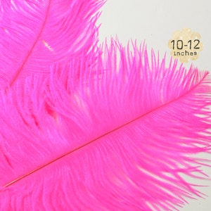 10 pz - pennacchi di piume di struzzo HOT PINK - 10-12" pollici - - tinti spicciolata piume