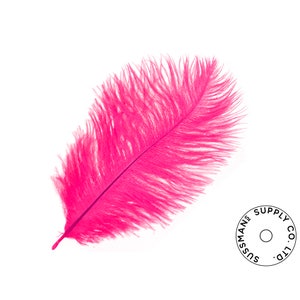 1/2 Lb. - 19-24 Hot Pink Ostrich Extra Long Drab Wholesale Feathers (Bulk)