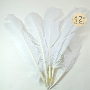 12 pcsTurkey Wing Feathers both Right and Left wing, WHITE - for hiphandmaids