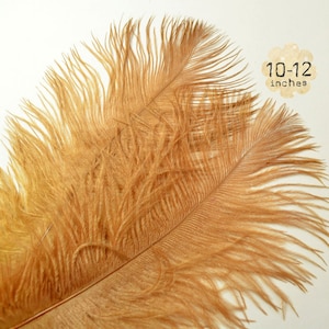 10 pezzi - BRONZO - 10-12" pollici - Piume di piume di struzzo - Piume di Drabs tinte