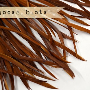 20 pcs - Goose Biots Feathers, coffee, Loose, can be curled, ironed, no. 010