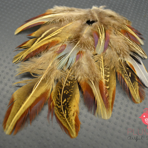 12 pcs - NATURAL PHEASANT feathers, all natural, mix feathers assortment