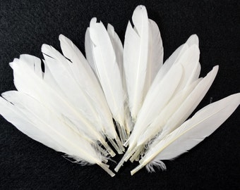 24pcs Small Duck Quills, Stiff loose feathers-White