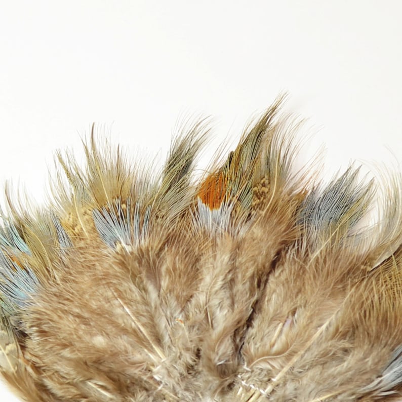 May include: A collection of brown, tan, and blue feathers arranged in a fan shape. The feathers are soft and fluffy, with some having a subtle iridescent sheen.