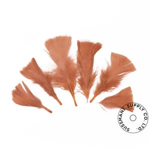 Turkey Feathers - Handpicked Loose Turkey Marabou Feathers - Brown - 2&quot;-4&quot; (12pcs)