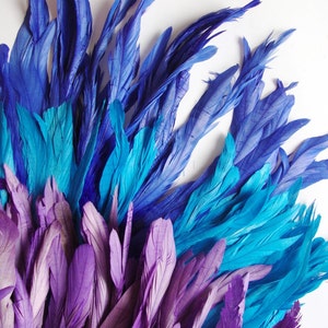 25-30pcs Rooster Tail Feathers-Lost Sea 7-8" tall