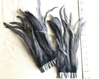 Magnifica Rooster Tail Feathers - Handpicked, Mid-Grey (10pcs)