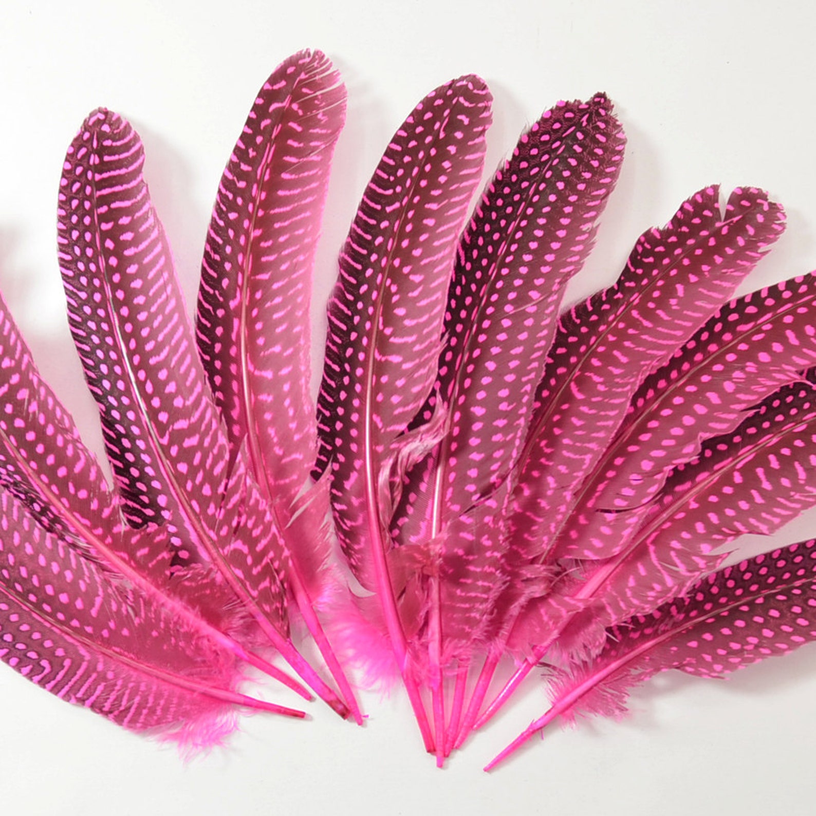 10pcs Guinea Fowl Quill Feathers Polkadot Feathers Pink | Etsy