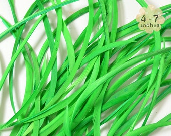 20pcs KELLY GREEN Goose Biots - could be curled or ironed - premium crafts and millinery supply, fishing supply, fly tying (GB008)