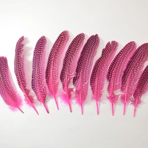 May include: A collection of pink and black spotted feathers. The feathers are arranged in a row, with the tips of the feathers pointing to the right.