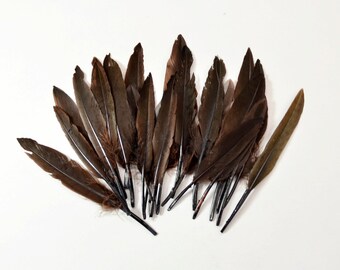 24pcs Small Duck Quills, Stiff loose feathers-Dark Brown