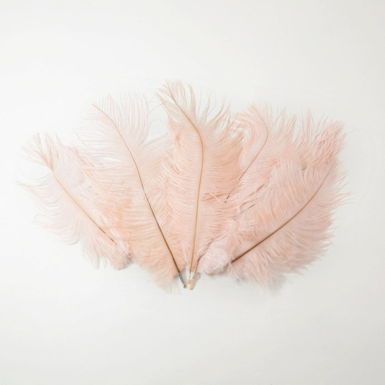 Petite Ostrich Drab Feathers Blush Pink, 4-8 6pcs image 2