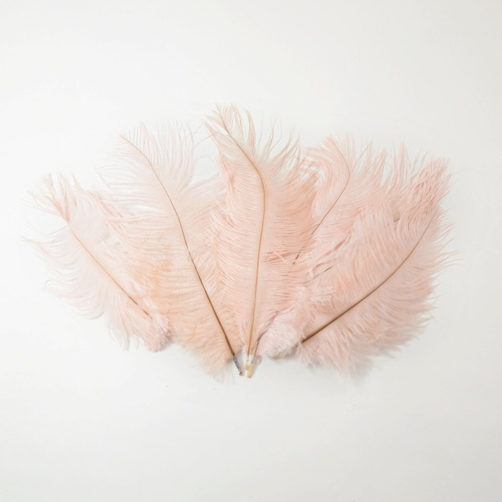 Petite Ostrich Drab Feathers Blush Pink 48 6pcs Etsy