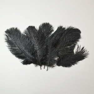 Petite Ostrich Drab Feathers - Black, 4-8&quot; (12pcs)