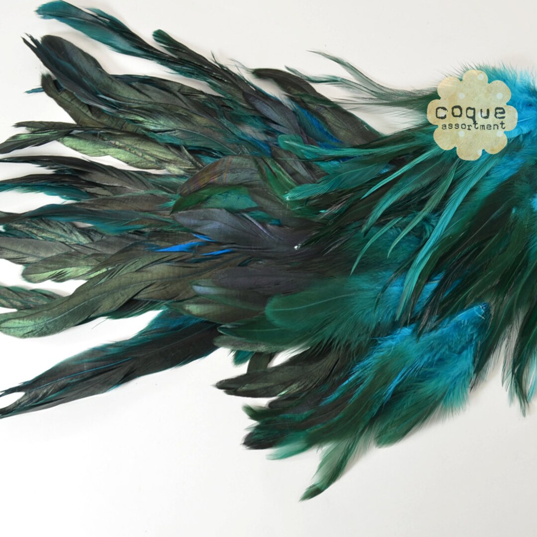 Piume Di Gallo Devaux Hackles Genetic - Pacchetto Di 15 - Foto 7