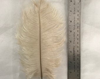 Ostrich Feathers - Ostrich Drab Feathers - Light Champagne - 7 to 8 inches 5 pcs