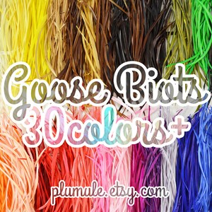 Könnte beinhalten: Eine Sammlung von über 30 Farben von Gänse-Biots-Federn. Die Federn sind nach Farbe in Reihen angeordnet, wobei die Farben von Gelb über Grün und Blau bis Rot reichen. Der Text "Goose Biots 30 Colors+" ist in weißen Buchstaben auf schwarzem Hintergrund in der Mitte des Bildes geschrieben. Der Text "plumale.etsy.com" ist in weißen Buchstaben auf schwarzem Hintergrund am unteren Rand des Bildes geschrieben.