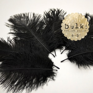 NERO - BULK - 4-8 pollici - 100 pezzi Piume di struzzo Grigi - Piume all'ingrosso