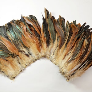 25-30pcs Half Bronze Rooster Tail Feathers-Brown, 6-8&quot; tall