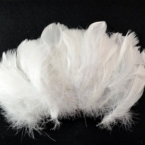 30-40 pcs Goose Satinettes loose feathers, 6 grams, Snow White