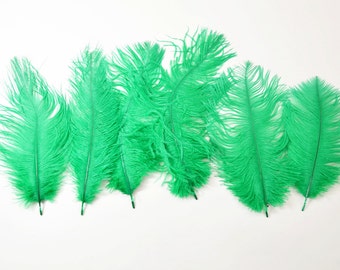 Petite Ostrich Drab Feathers - Kelly Green, 4-8" (6pcs)