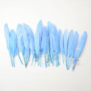 Middling Duck Quills, Stiff loose feathers - Chalky Blue (20pcs)