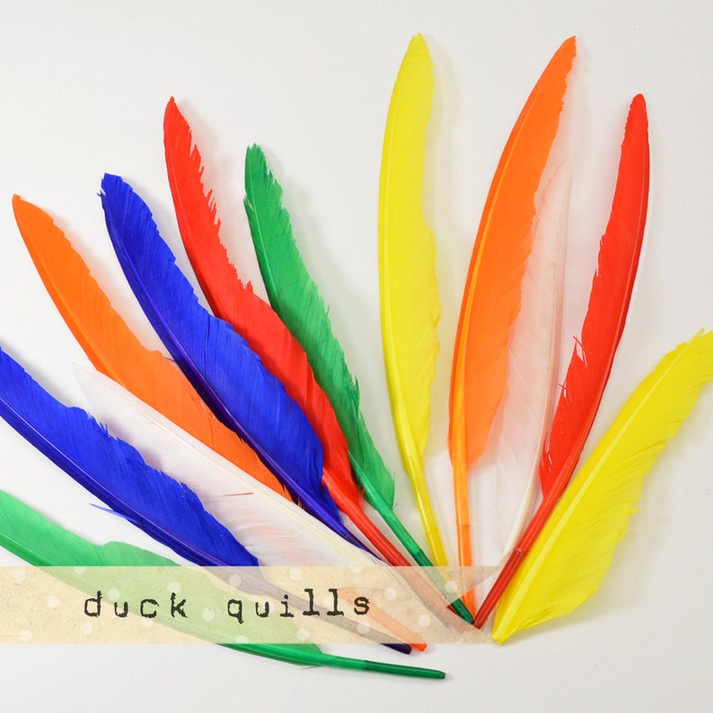 10pcs MULTI-COLOR Large Duck Quills Stiff loose feathers image 2