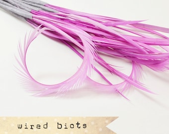 10 bundles - 25-30pcs - LILAC - Goose Biots on Wire - could be curled - premium millinery supply, fishing supply, fly tying