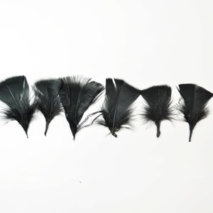 12pcs Turkey Flat Feathers - black