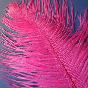 XL Hot Pink Ostrich Plumes. 13-16 Inches Tall. EXCLUSIVE - Etsy