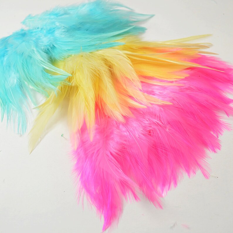 Pu&ograve; includere: Un mazzo di piume colorate in tonalit&agrave; di blu, giallo e rosa. Le piume sono morbide e soffici, e sarebbero perfette per l'artigianato o la decorazione.