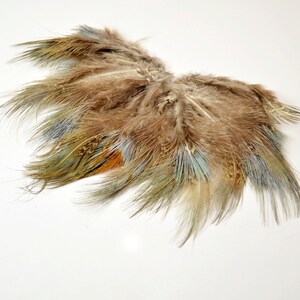 May include: A cluster of brown, green, and blue feathers with a few orange accents. The feathers are arranged in a fan shape.