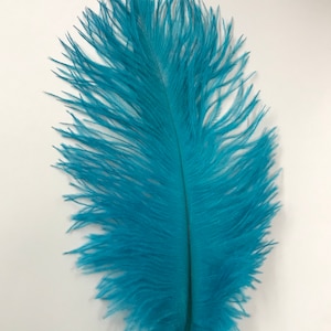 Ostrich Feathers - Ostrich Drab Feathers - Turquoise - 7 to 8 inches 5 pcs