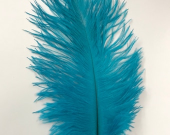 Ostrich Feathers - Ostrich Drab Feathers - Turquoise - 7 to 8 inches 5 pcs